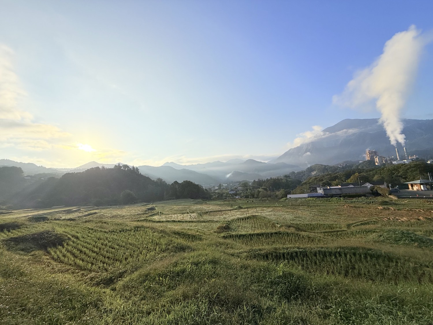 朝もやの寺坂棚田と武甲山